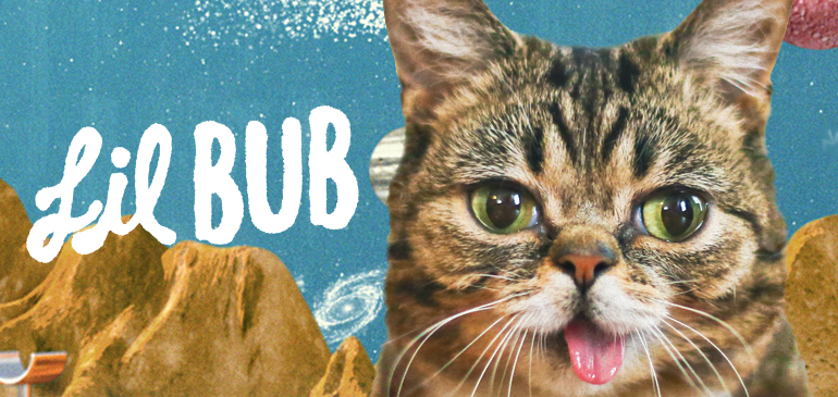 Lil bub. Una gatita con más de 200.000 fans